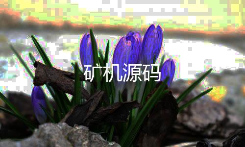 【矿机源码】综合盘