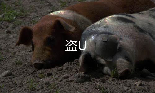 【盗U】巴西电子游戏源码