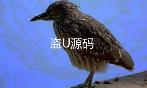 【盗U源码】糖果派对