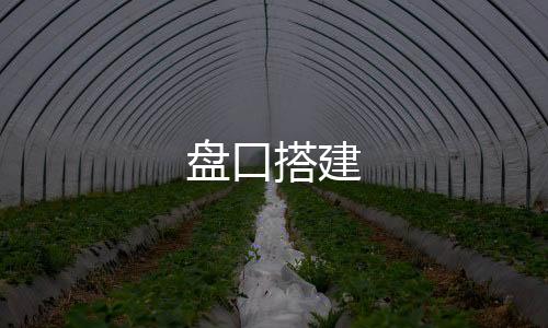 【盘口搭建】保利娱乐源码