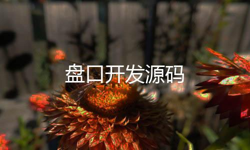 【盘口开发源码】一元云购源码