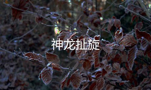 【神龙扯旋】矿机源码