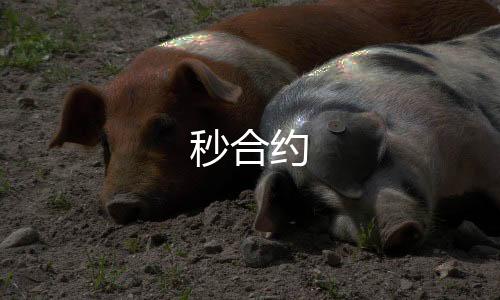 【秒合约】币币系统