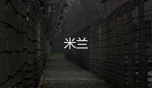 【米兰】网狐