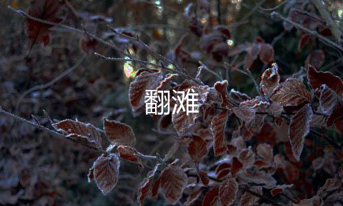 【翻滩】电影刷单源码