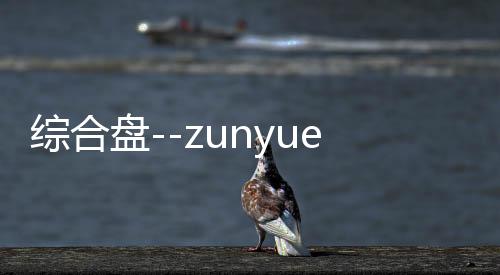 综合盘--zunyueyuanma.com