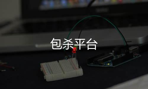 【包杀平台】分分28