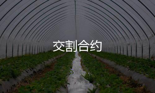 【交割合约】巴西电子游戏