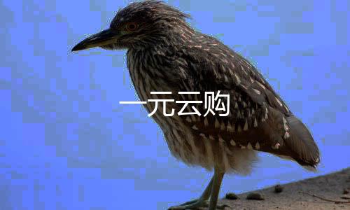 【一元云购】幸运飞艇源码
