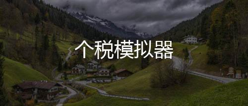 【个税模拟器】盘口