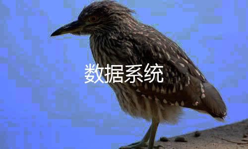【数据系统】麻将胡了2源码