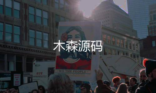 【木森源码】算例租赁