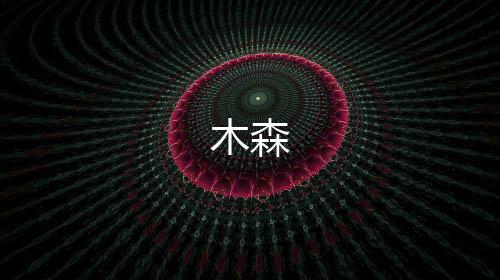 【木森】IM聊天源码