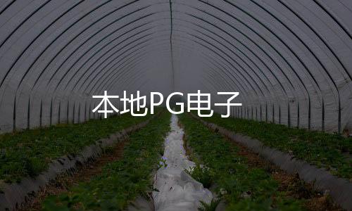 【本地PG电子】百家乐