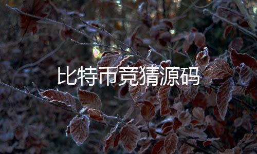 【比特币竞猜源码】微盘系统源码