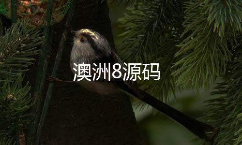【澳洲8源码】房卡金花