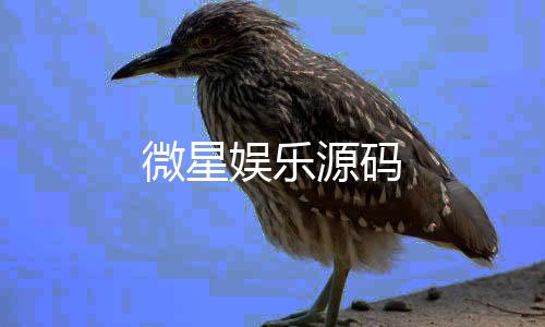 【微星娱乐源码】房卡牛牛