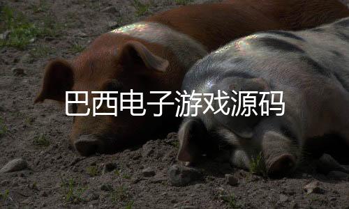 【巴西电子游戏源码】交割合约源码