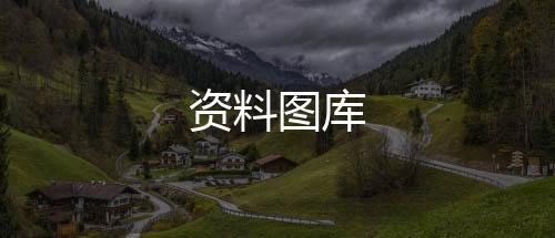 【资料图库】跑胡子源码