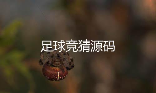 【足球竞猜源码】抢单系统源码